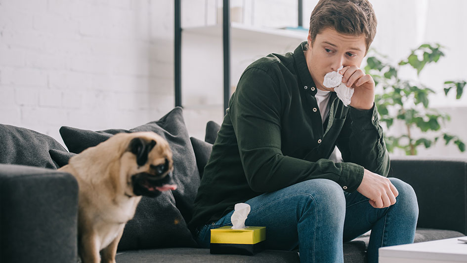 Purchasing an air purifier is one of the best methods to enhance your home’s indoor air quality. Find out more about the three smartest solutions. 